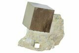 Natural Pyrite Cube In Rock From Spain #82085-1